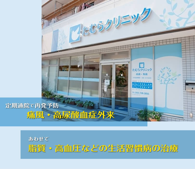 定期通院で再発作予防 痛風・高尿酸血症外来 脂質・高血圧などの生活習慣病の治療 定期通院で再発作予防 痛風・高尿酸血症外来 脂質・高血圧などの生活習慣病の治療